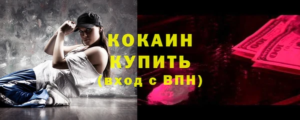 молекула духа Козельск