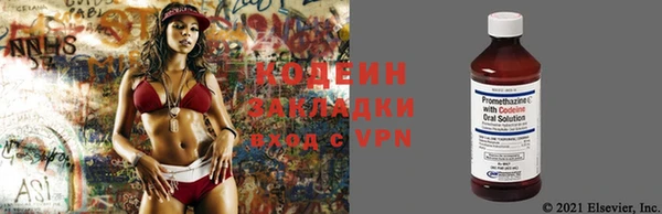 молекула духа Козельск