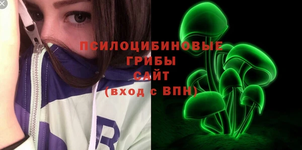 спиды Козловка