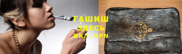 молекула духа Козельск