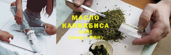 молекула духа Козельск