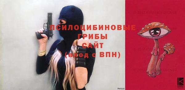 спиды Козловка