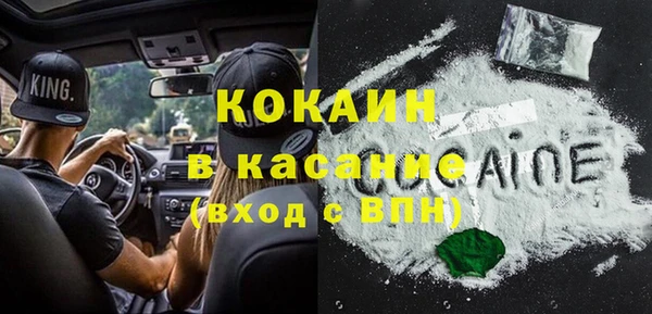 молекула духа Козельск