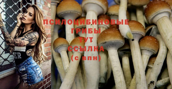 спиды Козловка